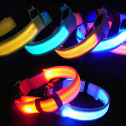 LED Dog Collar