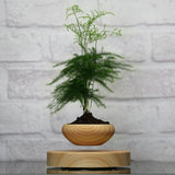 Magnetic Floating Plant Pot