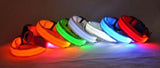 LED Dog Collar