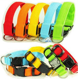 LED Dog Collar