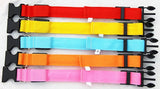 LED Dog Collar
