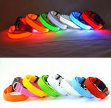 LED Dog Collar