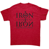 Christian Tee Shirt | Iron Sharpens Iron | Brothers In Christ | Christian Gift |  Dad Gift | Fathers Gift |