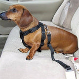 Dog Car Safety Seat Belt Harness