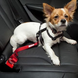 Dog Car Safety Seat Belt Harness