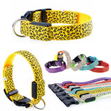 LED Dog Collar Safety Glow Leopard