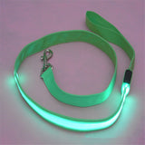 LED Dog Leash