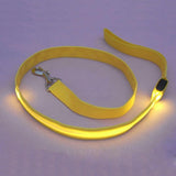 LED Dog Leash