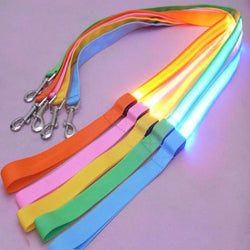 LED Dog Leash