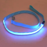LED Dog Leash