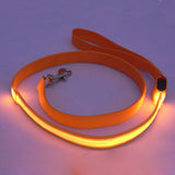 LED Dog Leash