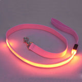 LED Dog Leash