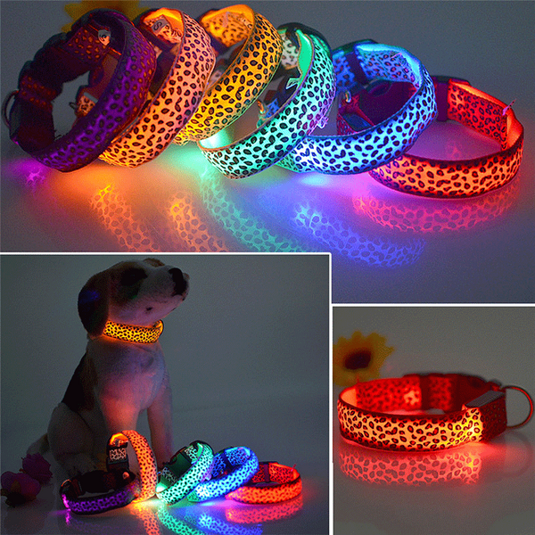 LED Dog Collar Safety Glow Leopard